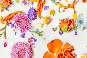 Colorful summer flowers in a milk bath background