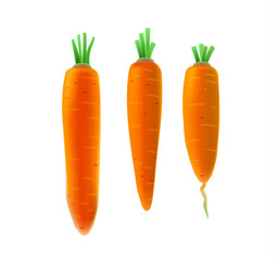 Collection with carrot vegetables isolated. Vector illustration.