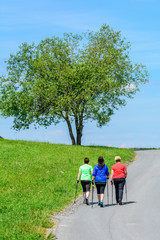 Obraz premium Unterwegs beim Nordic Walking im Grünen