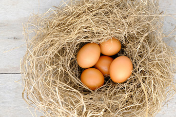 nest with raw chicken eggs on wooden background
