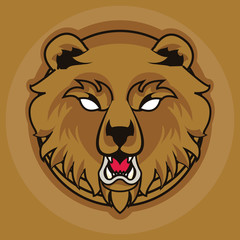wild bear spirit creative design