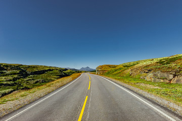 Landstraße durch Skandinavische Landschaft im sommer