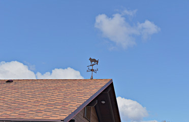 A weather vane in the form of a dog mounted on the roof of the house shows the direction of the wind.