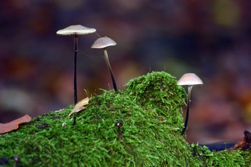 Wspinaczka.  © ARTUR