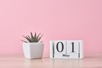 Wooden block calendar with date May 1 and succulent plant in the pot on yellow background. Labor...