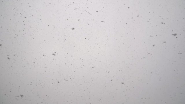 The consequences of a fire and volcanic eruption. Particles of ash slowly fall from the sky on a gray background