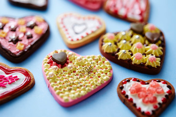 Polymer clay made sugar cookies icing 