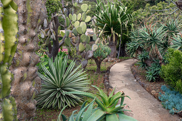 botanischer garten