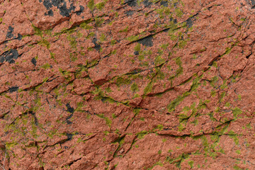Texture of natural stone overgrown with green moss and lichen. Close up rock texture background, natural surface. Background on theme geology with copy space
