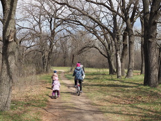 children c parents ride bicycles in the spring forest