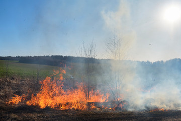 Fire. Burning last year's dry grass with plenty of smoke could turn into a tragedy.