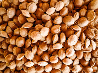 Close up of stack of raw almonds in shells