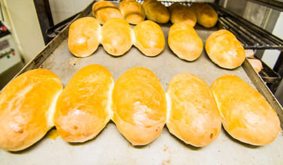 the real pastry, pastries prepared in the artisan laboratory,, salty focaccia