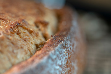 artisanal whole wheat country bread