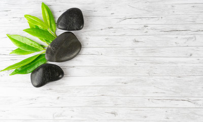 Black stones and a green plant branch on wood background, copy space