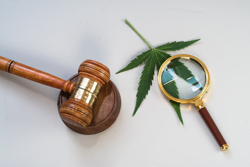 CBD, marijuana leaves and judging mallets - 341229727