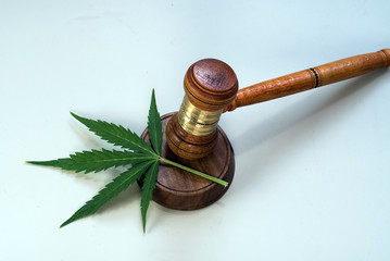 CBD, marijuana leaves and judging mallets