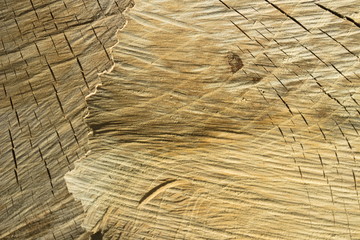 drewno i widoczne na nim sęki i pęknięcia