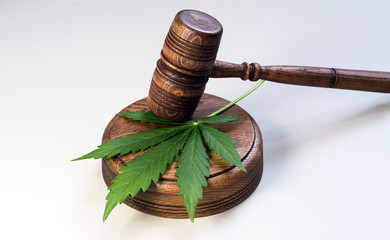 CBD, marijuana leaves and judging mallets