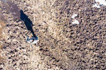 man on a treasure hunt with a metal detector in the woods on the field, photographed from a drone, blurred background