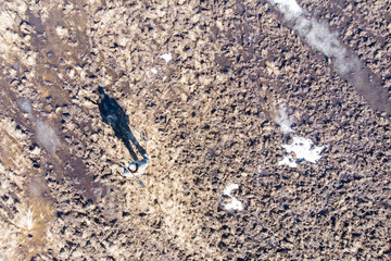 man on a treasure hunt with a metal detector in the woods on the field, photographed from a drone, blurred background