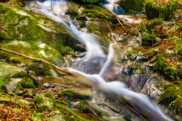 View of a small cascade waterfall in the Black Forest in a beautiful landscape