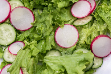 Fresh and delicious salad with lettuce, radish, cucumbers and olive oil in a white bowl, with table offerings