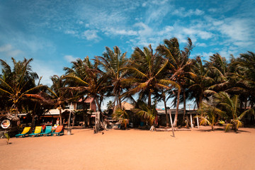 Kolorowe leżaki na pięknej pomarańczowej piaszczystej plaży w tle las palm kokosowych i niebieskie niebo z chmurami.