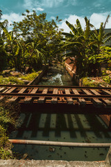 Most kolejowy na tle rzeki i tropikalnych palm.