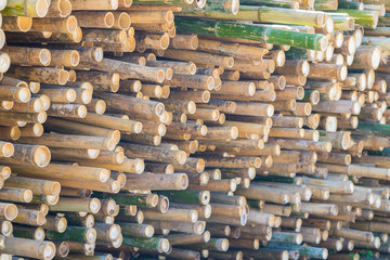 Beautiful nature cutting bamboo sticks texture use for pattern