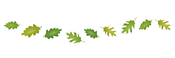 set of green autumn leaves in the wind on white background vector illustration EPS10