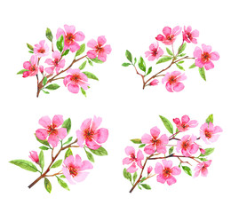 Set of watercolor cherry blossom flower wreath. Sakura beautiful spring floral collection. Colorful illustration isolated on white background