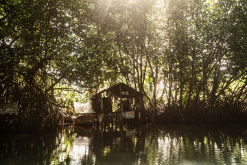 Mała drewniana przystań w dżungli w słoneczny dzień na rzecze. © insomniafoto