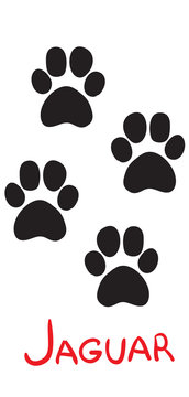 set of black jaguar tracks, icon, isolated object on white background, vector illustration,