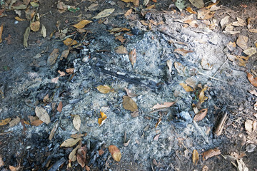 Close up burning log and outdoor fireplace on the ground 