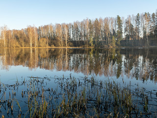 tree reflections in water, early spring landscape