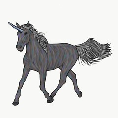 horse / unicorn illustration