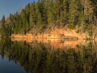 Fototapeta premium tree reflections in water