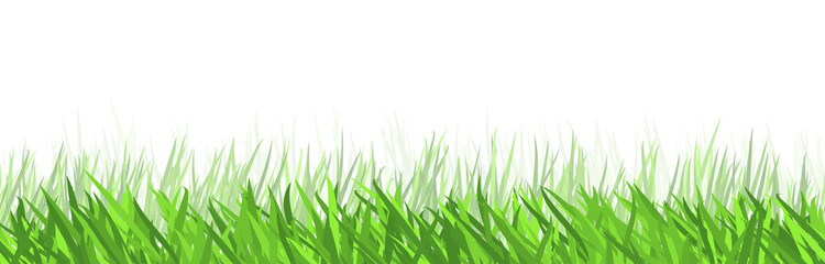 Fototapeta premium seamless floral grass panorama background