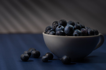 Cup of fresh blueberry fruit in dark and moody lighting
