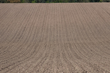 ploughed field