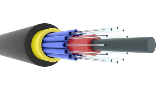 Beautiful animation of color fiber optic cable. Sectional view close up. Seamless loop.