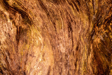 Wood texture background surface old natural pattern