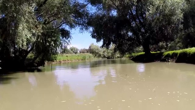 Delta Dunarii (Danube Delta)