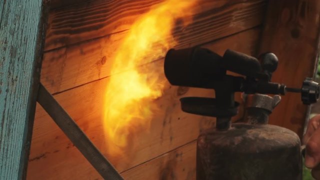 Man diesel burner burns wood beehive for the destruction of bugs and tree pests in the spring.