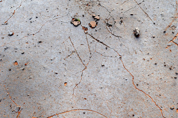 Cement floor cracks due to substandard construction