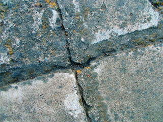 
Concrete painted wall of the building.
Blurred defocused background for web design. 