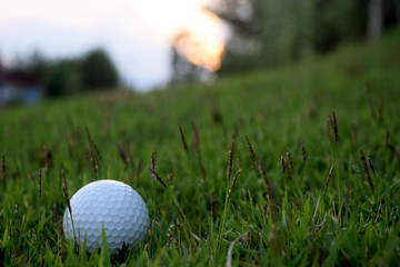 Golf on the green grass and the wood is ready for the hit.