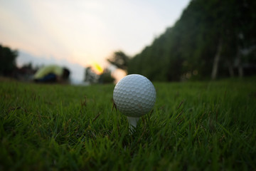 Golf on the green grass and the wood is ready for the hit.