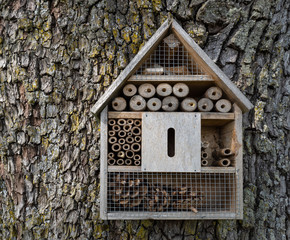 Insektenhotel in Form eines Hauses an der groben Rinde eines Baumstamms